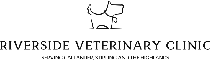 Riverside Vet Clinics